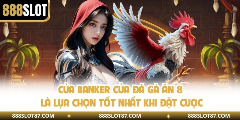 Cửa banker của đá gà ăn 8 là lựa chọn tốt nhất khi đặt cược