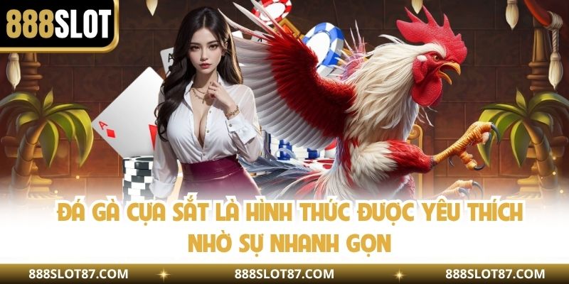 Đá gà cựa sắt là hình thức được yêu thích nhờ sự nhanh gọn
