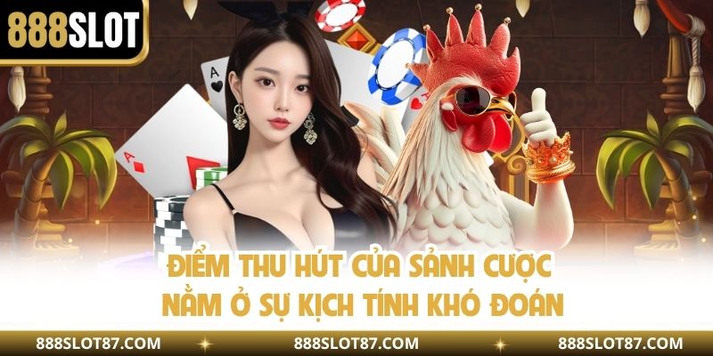 Điểm thu hút của sảnh cược nằm ở sự kịch tính khó đoán