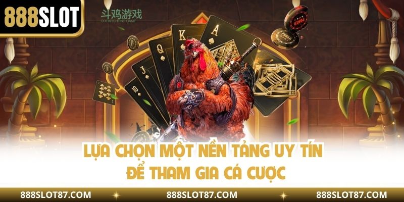 Lựa chọn một nền tảng uy tín để tham gia cá cược